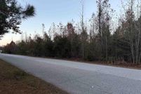 Undeveloped Land for sale in Dillon County, South Carolina