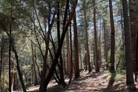 Farm Property for sale in Amador County, California
