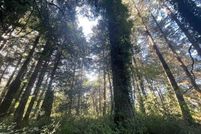 Residential Property for sale in Del Norte County, California