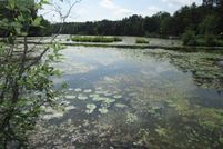 Undeveloped Land for sale in Price County, Wisconsin