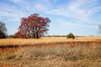 Undeveloped Land for sale in Logan County, Oklahoma