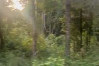 Property for sale in Marion County, Florida