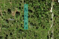 Undeveloped Land for sale in Polk County, Florida