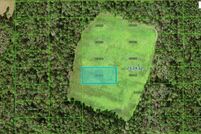 Undeveloped Land for sale in Polk County, Florida