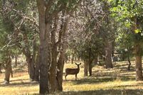 Property for sale in Kern County, California