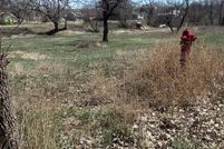 Undeveloped Land in Slope County, North Dakota