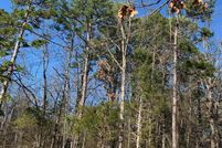 Property for sale in Cleburne County, Arkansas