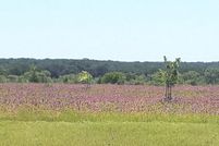 Property for sale in Medina County, Texas