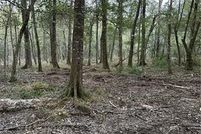 Undeveloped Land for sale in Washington Parish, Louisiana