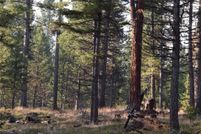 Undeveloped Land for sale in Flathead County, Montana