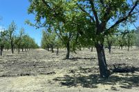 Undeveloped Land for sale in Dona Ana County, New Mexico