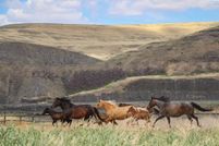 Ranch Property for sale in Whitman County, Washington