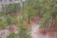 Undeveloped Land for sale in Orangeburg County, South Carolina