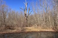 Undeveloped Land for sale in Jackson County, Alabama