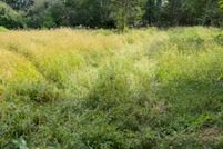 Undeveloped Land for sale in Suffolk County, New York