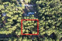 Undeveloped Land for sale in Putnam County, Florida