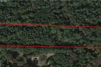 Recreational Property for sale in Peach County, Georgia