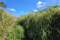 Farm Property for sale in Hawaii County, Hawaii