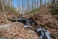 Hunting Land for sale in Pickens County, Georgia