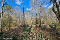 Undeveloped Land for sale in Union County, Arkansas