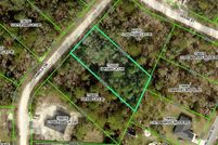 Undeveloped Land for sale in Hernando County, Florida