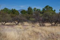 Undeveloped Land for sale in Santa Cruz County, Arizona
