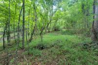 Undeveloped Land for sale in Cherokee County, North Carolina