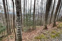 Undeveloped Land for sale in Towns County, Georgia