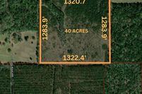 Undeveloped Land for sale in Jasper County, Texas