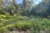 Undeveloped Land in Fulton County, Arkansas
