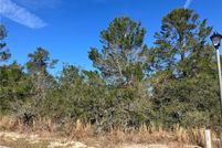Undeveloped Land for sale in Citrus County, Florida