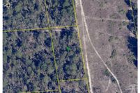 Undeveloped Land for sale in Hernando County, Florida