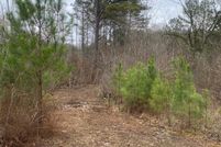 Undeveloped Land for sale in Attala County, Mississippi