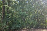 Undeveloped Land for sale in Pike County, Missouri