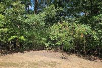 Undeveloped Land for sale in Pike County, Missouri