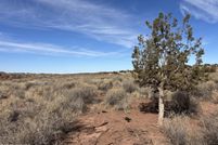 Property for sale in Navajo County, Arizona