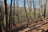 Property for sale in Fannin County, Georgia