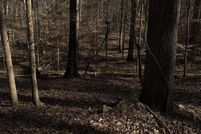 Property for sale in Shelby County, Alabama