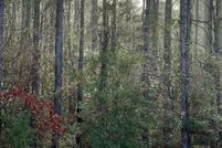 Undeveloped Land for sale in Pearl River County, Mississippi