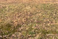 Property for sale in Garland County, Arkansas