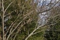 Property for sale in Wagoner County, Oklahoma