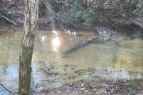 Farm Property for sale in Walton County, Florida