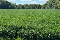 Undeveloped Land for sale in Warren County, Ohio