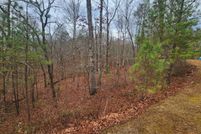 Undeveloped Land for sale in Gilmer County, Georgia