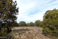 Property for sale in Apache County, Arizona