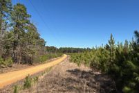 Undeveloped Land for sale in Dallas County, Arkansas
