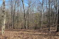 Undeveloped Land for sale in Henderson County, Tennessee