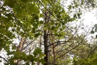 Recreational Property for sale in Buckingham County, Virginia