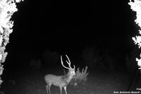 Property for sale in Edwards County, Texas