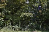 Property for sale in Claiborne County, Tennessee